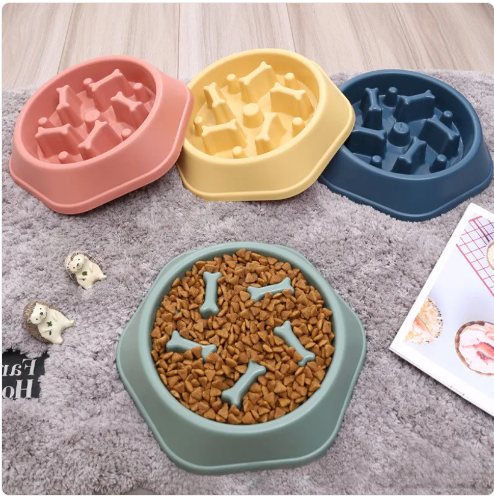 Bol pour Chien à Alimentation Lente