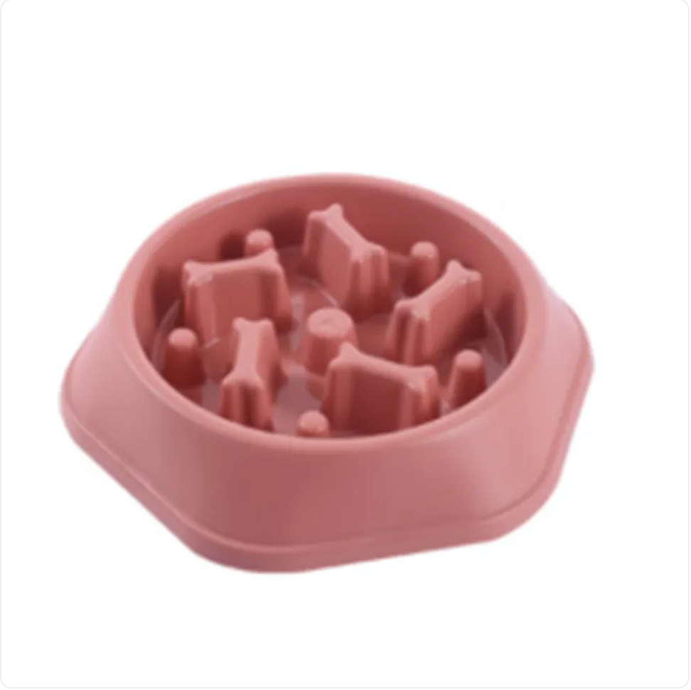 Bol pour Chien à Alimentation Lente