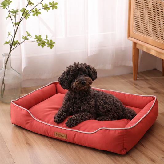 Sofa Confort Premium Imperméable pour Chien 🐾