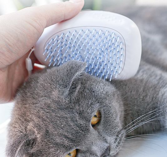 Brosse Anti-Poils pour Chat et Animaux – Brosse de Toilettage Blanche 🐾