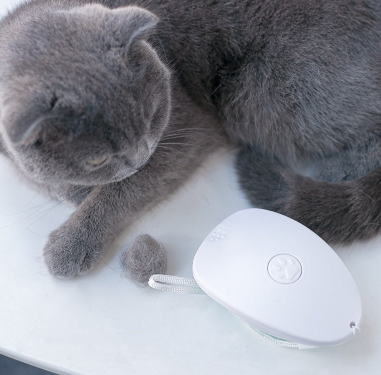 Brosse Anti-Poils pour Chat et Animaux – Brosse de Toilettage Blanche 🐾