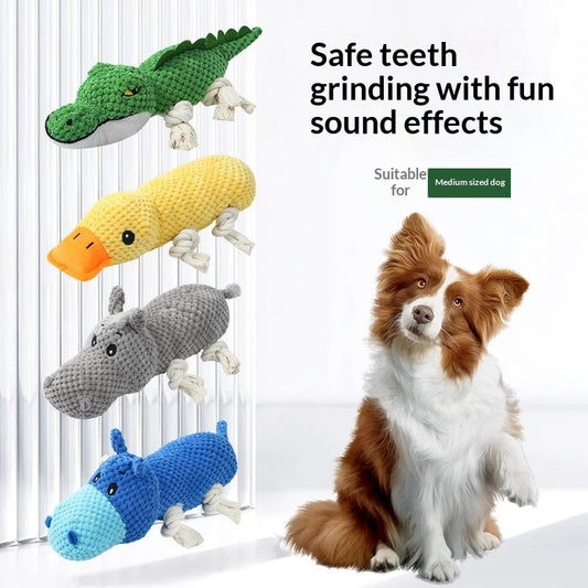 Lot de 4 Peluches à Mâcher et Nettoyage Dentaire avec Son