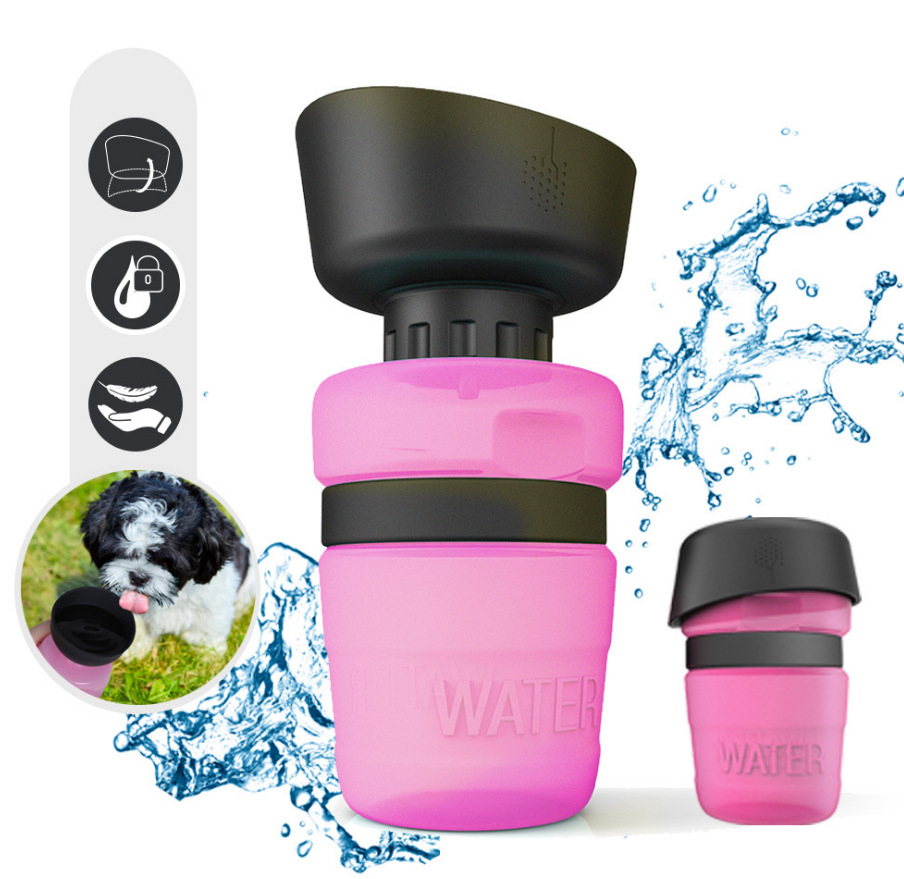 Bouteille d'eau portative pour chien