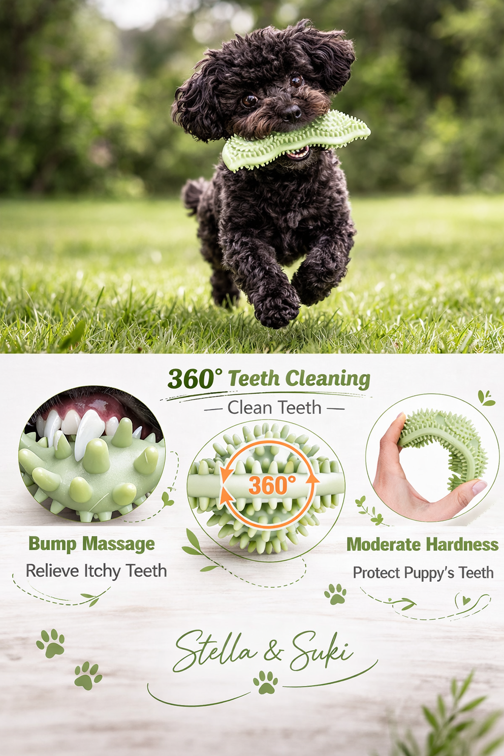 Bâton à Mâcher Interactif pour Chien 🐾